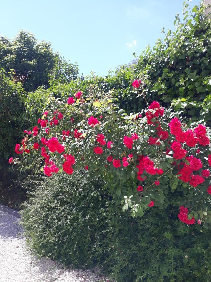 Cote Remparts Hotel Provins Bagian luar foto